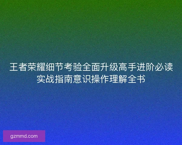 王者荣耀细节考验全面升级高手进阶必读实战指南意识操作理解全书